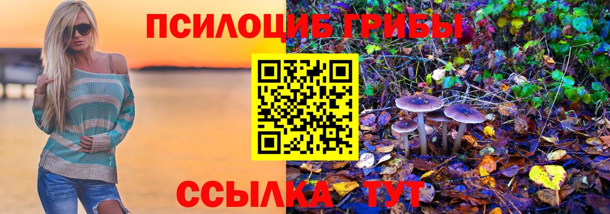 Псилоцибиновые грибы Psilocybe  Псилоцибиновые грибы Psilocybine cubensis  Жигулёвск 