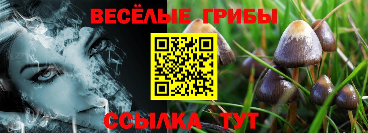 Галлюциногенные грибы ЛСД Жигулёвск